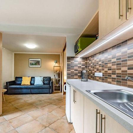Apartment Vaclavov Decin Buitenkant foto