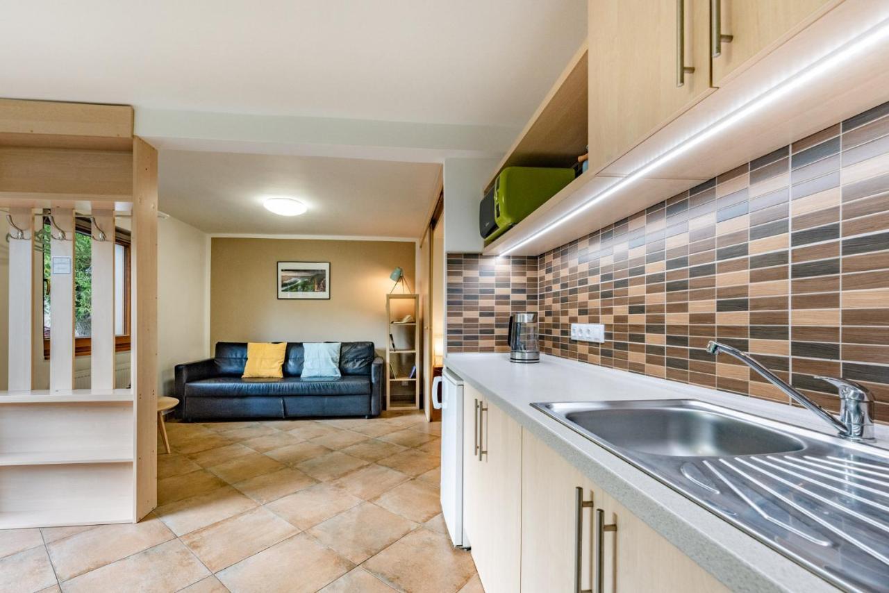 Apartment Vaclavov Decin Buitenkant foto