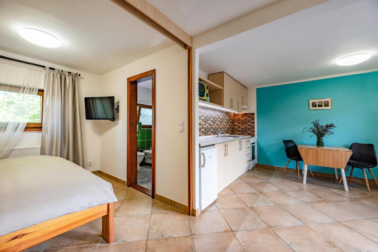Apartment Vaclavov Decin Buitenkant foto